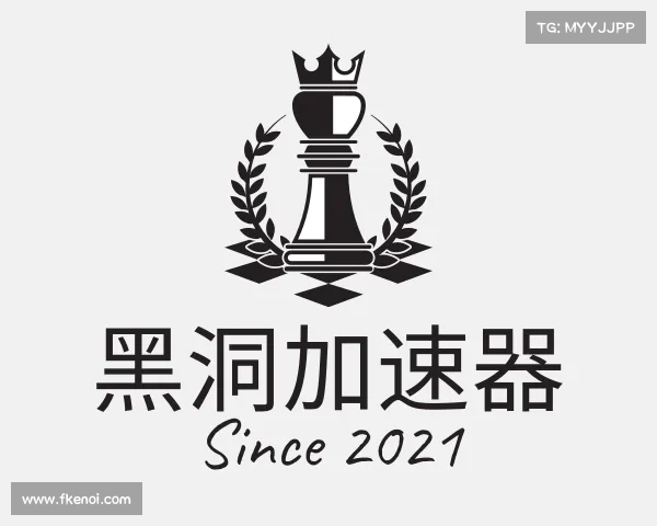 了解黑洞加速器